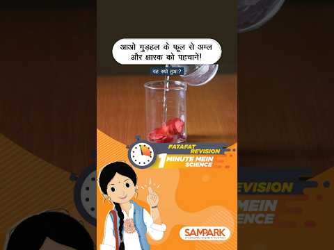 Let's Identify Acids and Bases with Hibiscus Flowers! | #shorts